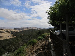 The view from the Calera winery