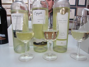 Bodegas Etchart tasting