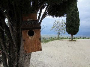 Bird house on the Romanelli estate