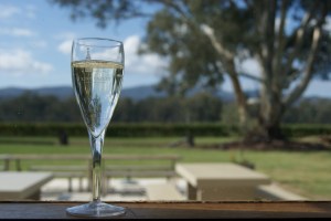 A glass of Dal Zotto prosecco