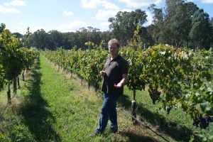 Michael Dal Zotto shows me some of the nebbiolo wines