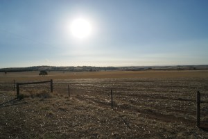 Barossa sun