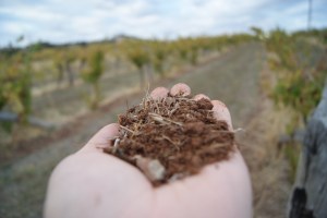 Pre-Cambrian Heathcote soils