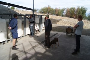 Gary shows some local winemakers and I through the 2013 vintage
