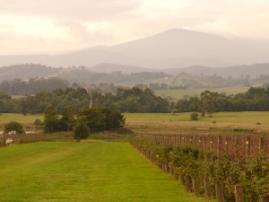 The best view in the valley