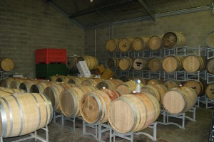 The modest Domaine Epis cellars