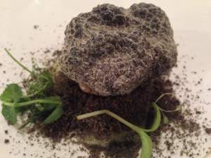 "Summer Black Truffle at Al Pont de Ferr