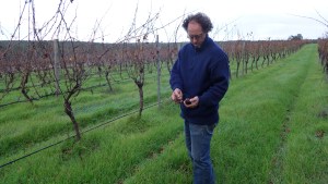 Hunter Smith from Frankland Estate