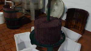 Bin X Wine Cake