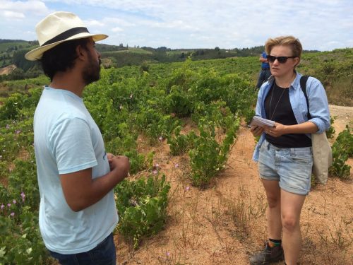 cultivar_lucy_kendall_07-1024x768